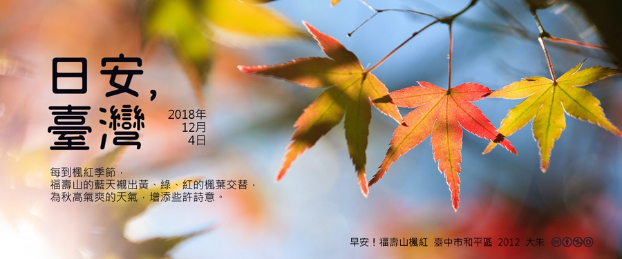 365 日安，臺灣之2018年12月4日